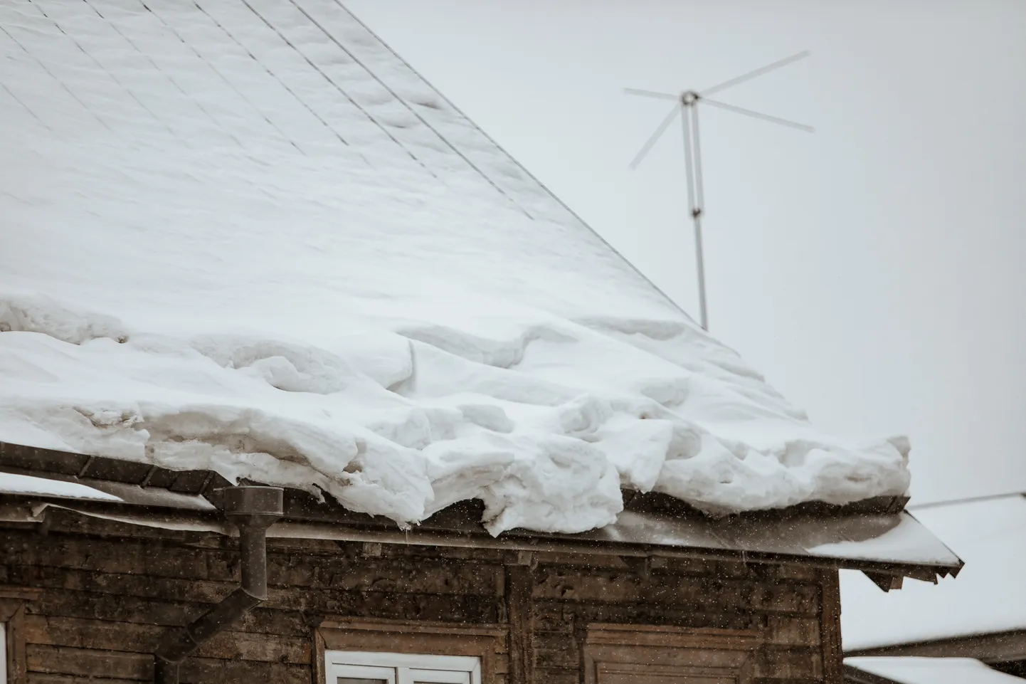 Фото статьи